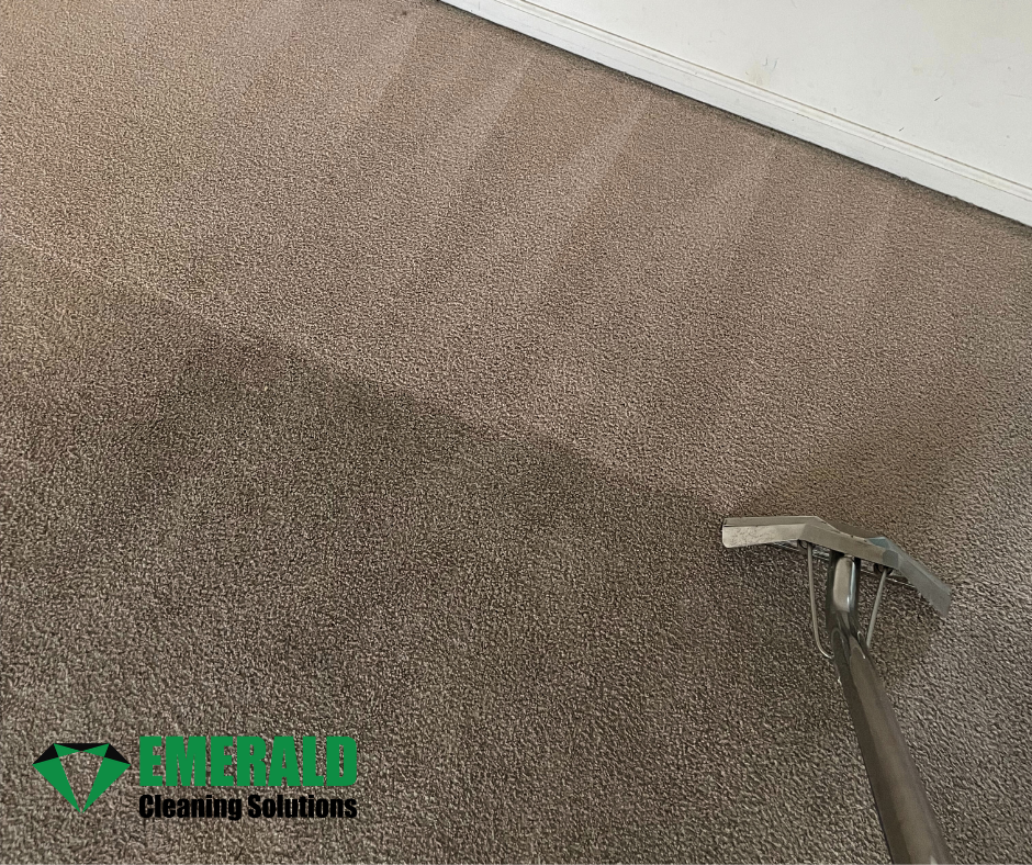 Carpet Cleaning Near Me